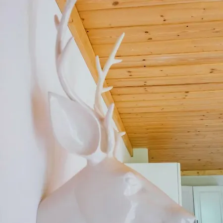 公寓 Haus Izabella 费尔兹姆斯